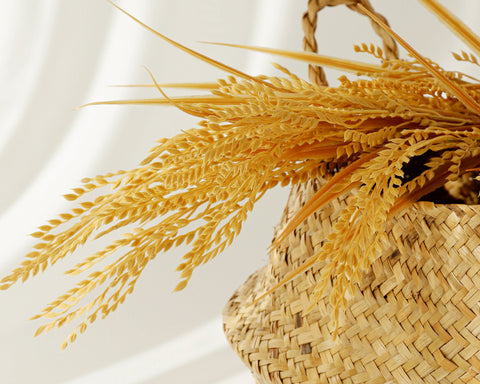 Relief Sun : Rice + Probiotics