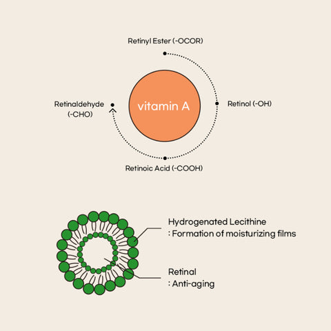 Revive Eye Serum : Ginseng + Retinal