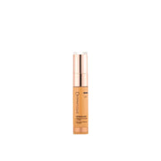 Dermatique Maquillage Perfecting Concealer + blender (Warm Light) 
