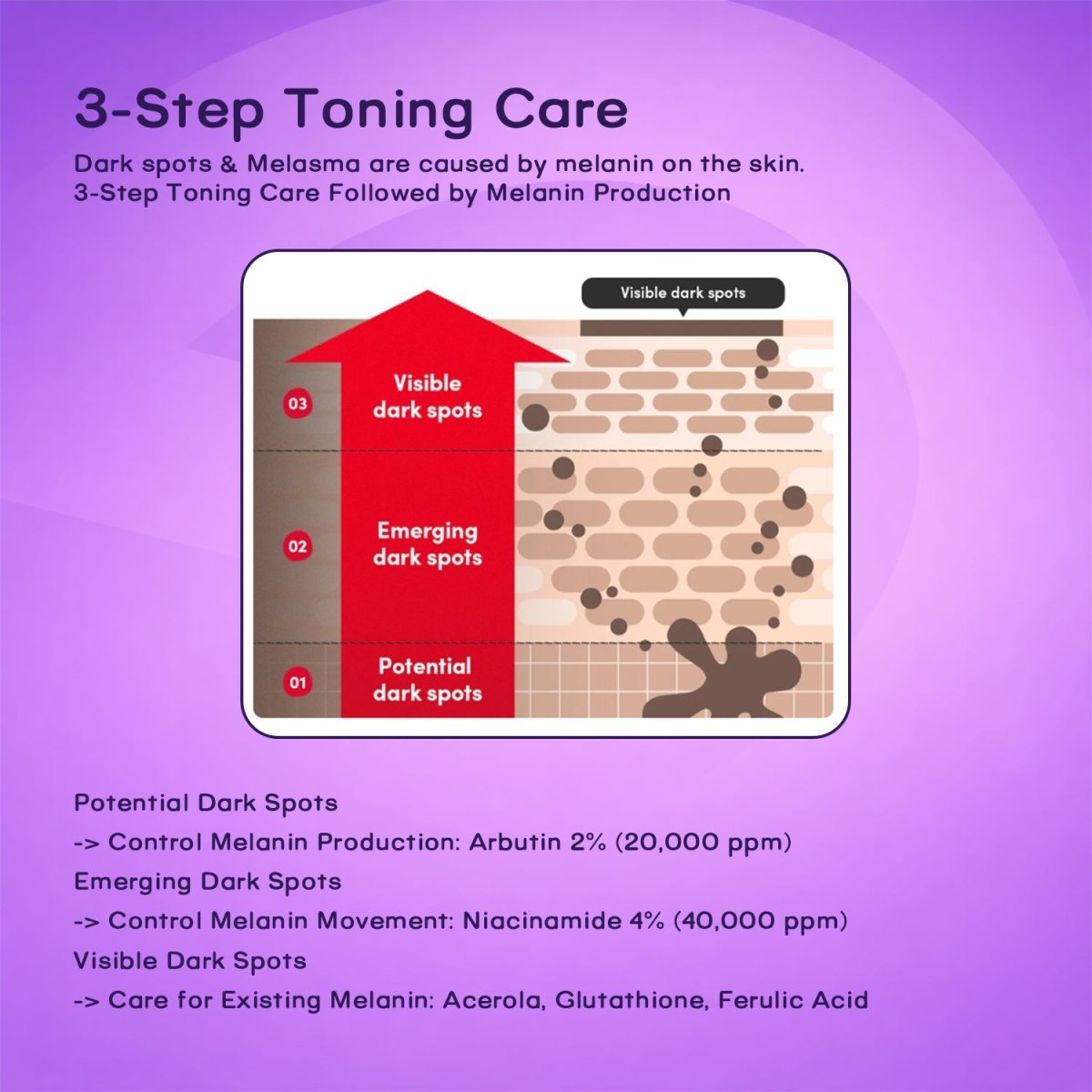 EQQUALBERRY - Vitamin Illuminating Serum 30mlEQQUALBERRYMENA GLAM